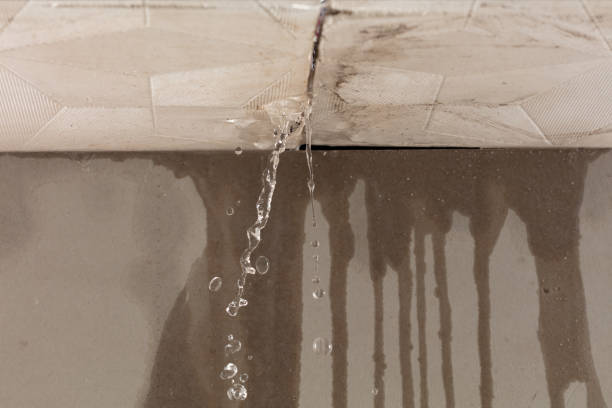 Professional Structural Drying technician working in Thurston, OH